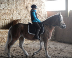 Reiten2 Reiten2