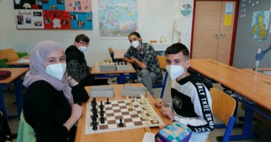 Schach-das königliche Spiel begeistert 3b Schach-das königliche Spiel begeistert 3b