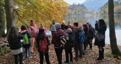 Klasse 1C Projekt Hechtsee Klasse 1C Projekt Hechtsee